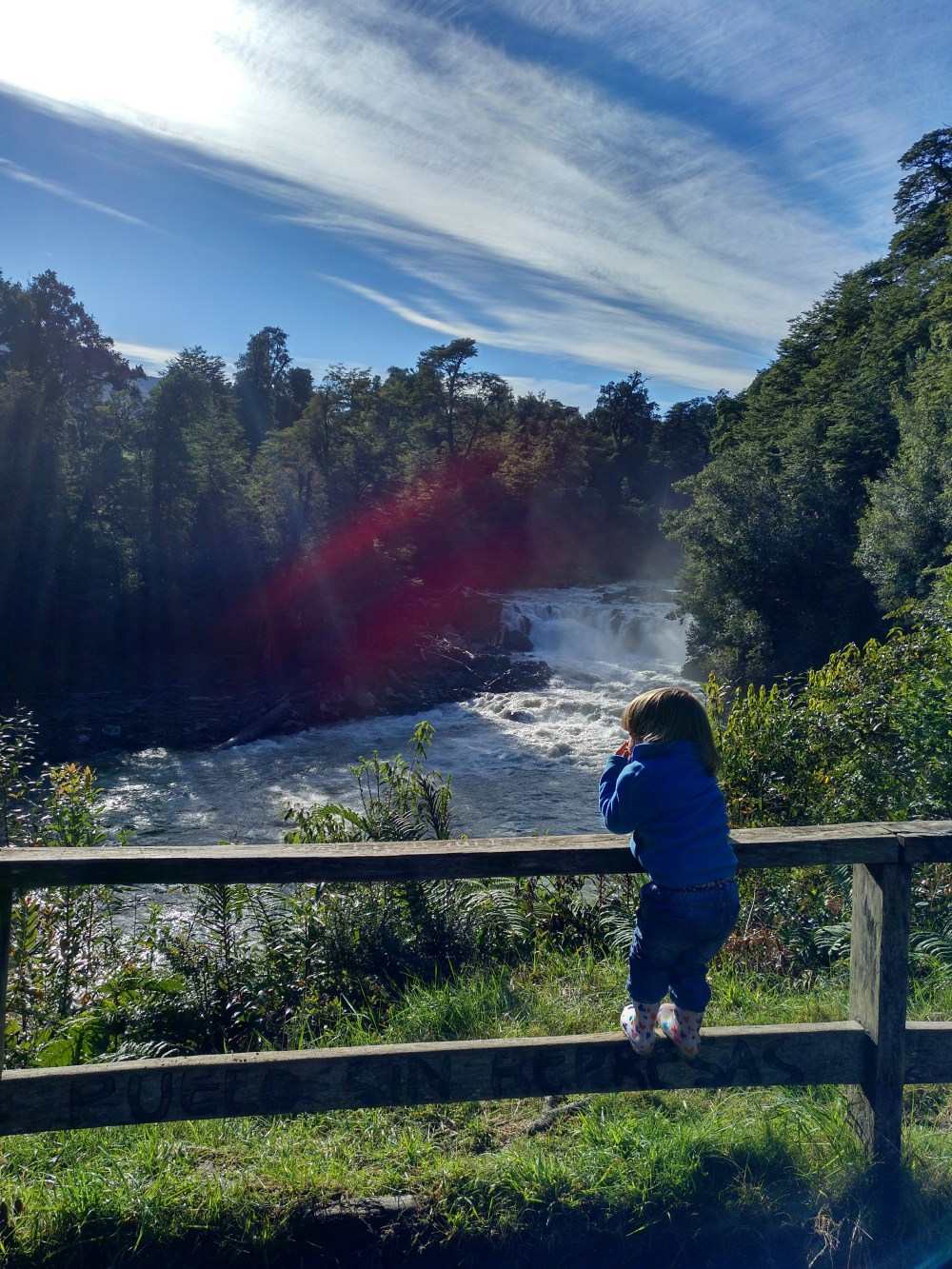 IMG_20180429_111558_630 (1)