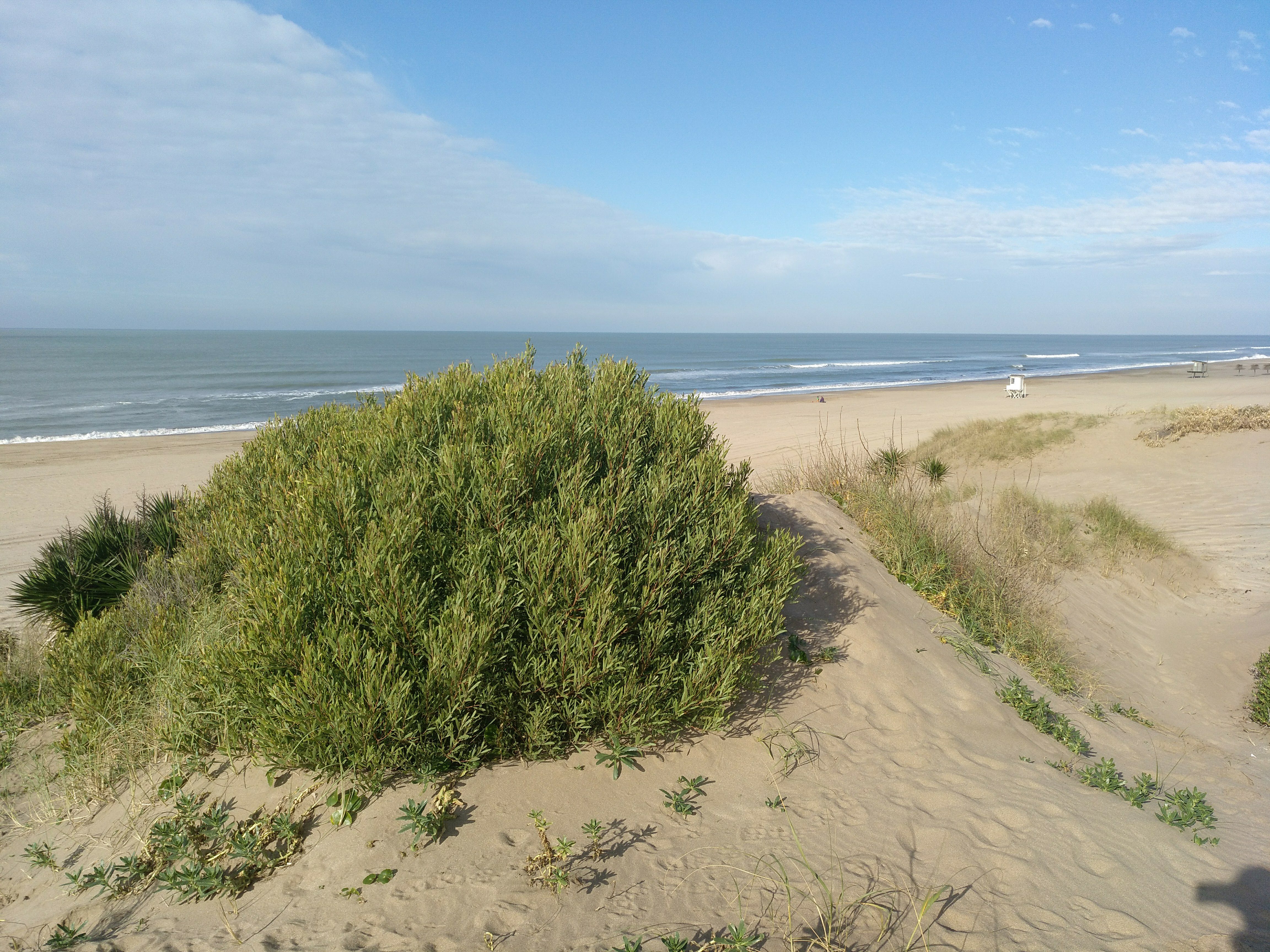 img_20180606_111829_854_01