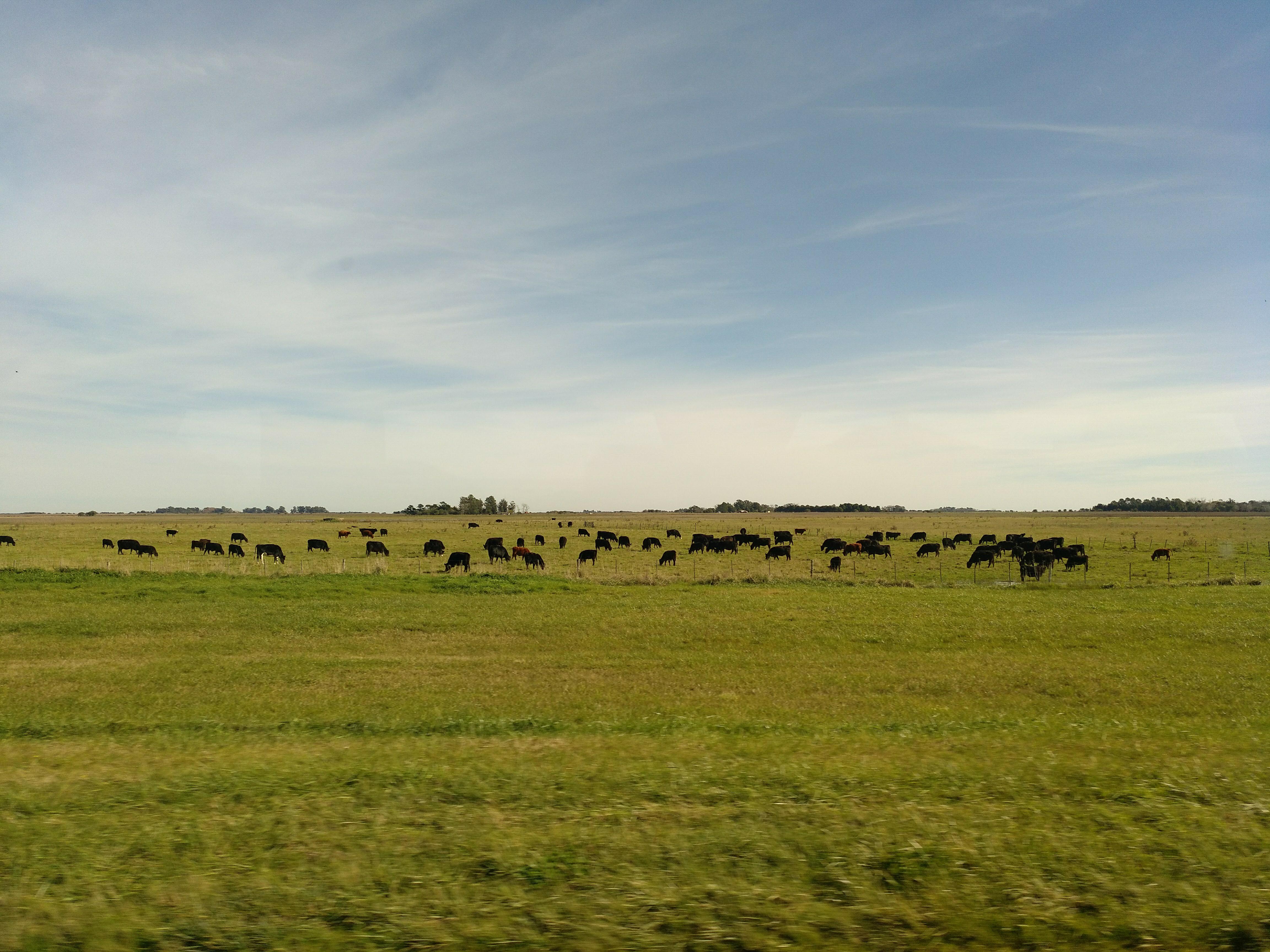 img_20180609_130322_1451